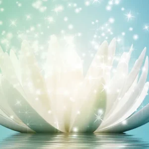 Reiki Level 3 – Advanced Practitioner Certification